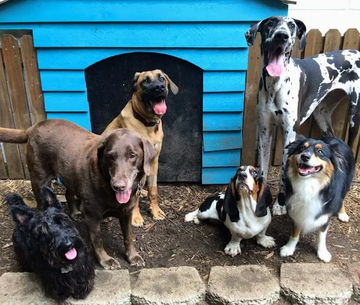 Butler Creek Animal Hospital Picture 1