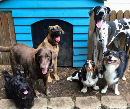 Butler Creek Animal Hospital