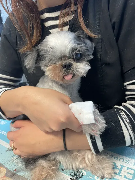 Butler Creek Animal Hospital Picture 5