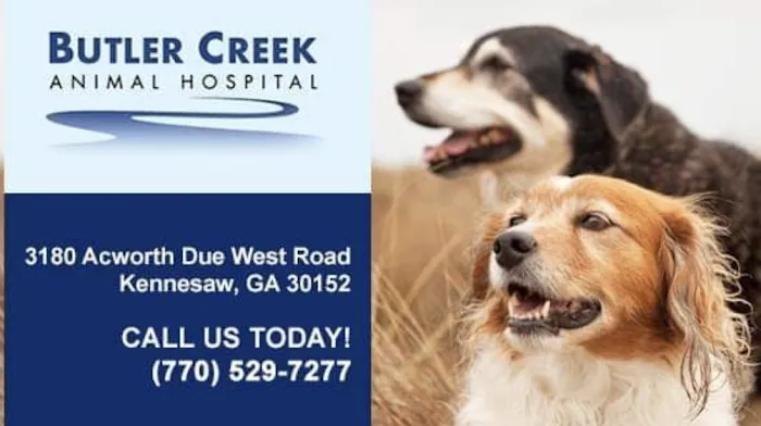 Butler Creek Animal Hospital Picture 10