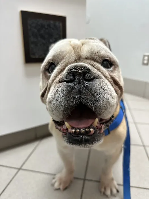 Butler Creek Animal Hospital Picture 8