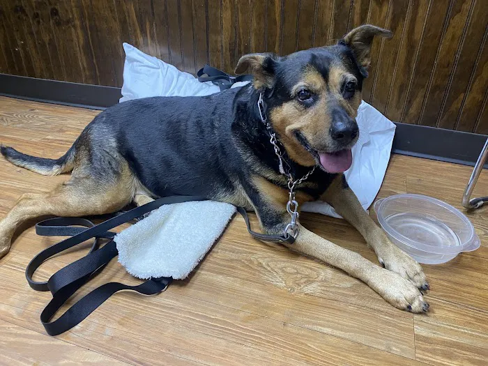 Acworth Animal Hospital Picture 4