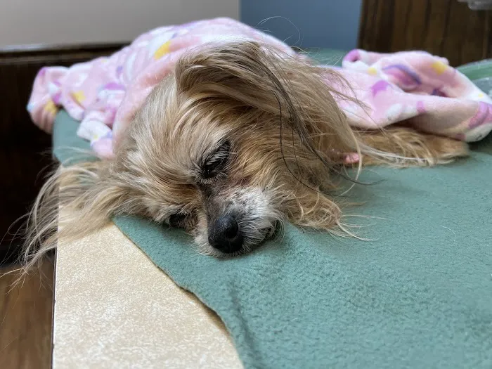 Acworth Animal Hospital Picture 8