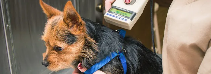 Acworth Animal Hospital Picture 10