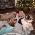 Lake City Animal Hospital