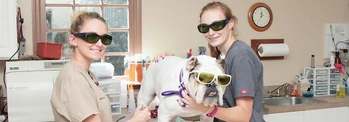 Lake City Animal Hospital Picture 8