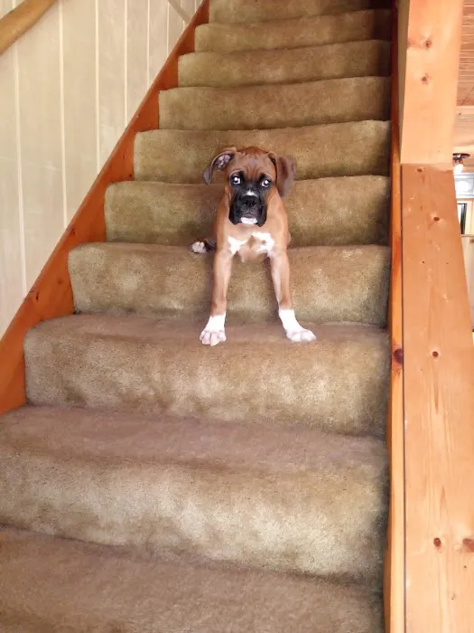 Lake City Animal Hospital Picture 7