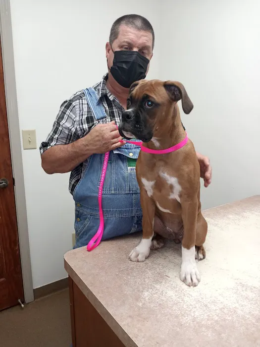 Lake City Animal Hospital Picture 10
