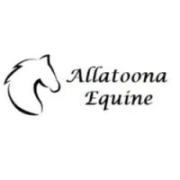 Allatoona Equine, Llc ico