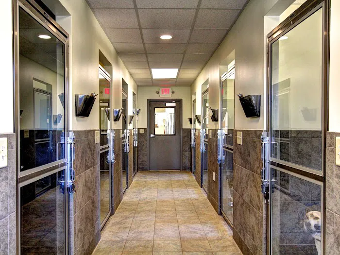 Brookstone Animal Hospital Picture 5