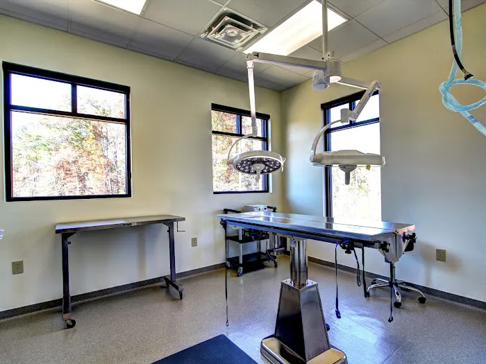 Brookstone Animal Hospital Picture 7
