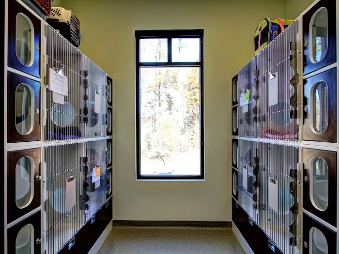 Brookstone Animal Hospital Picture 10