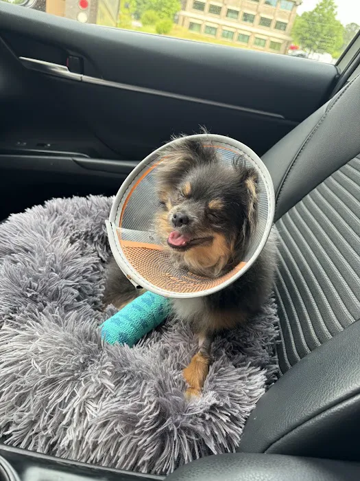 BluePearl Pet Hospital Picture 3