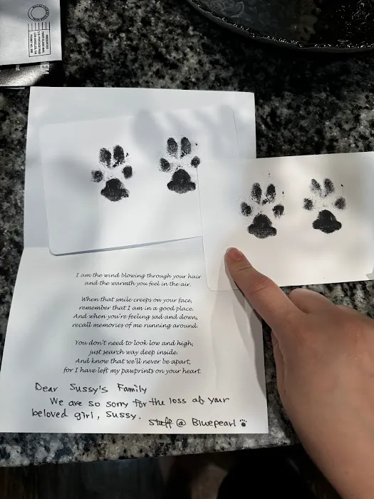 BluePearl Pet Hospital Picture 7
