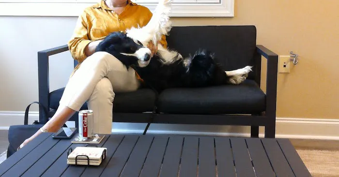 Veterinary Behavior Consultants, Dr Lynne Seibert Picture 6
