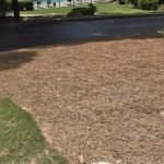 Banfield Pet Hospital