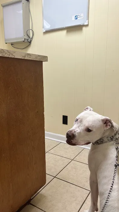 Woods Animal Hospital Picture 1