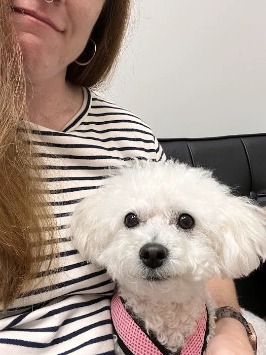 CityVet | Chamblee Veterinary Clinic & Urgent Care Picture 5