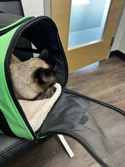 CityVet | Chamblee Veterinary Clinic & Urgent Care Picture 9