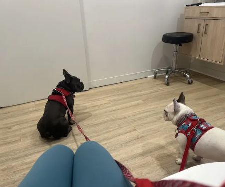 Petfolk Veterinary & Urgent Care - Sandy Springs
