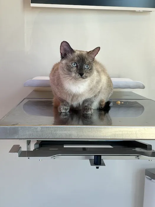Petfolk Veterinary & Urgent Care - Sandy Springs Picture 5