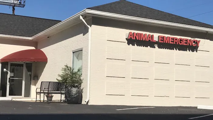 Animal Emergency Center of Sandy Springs Picture 2