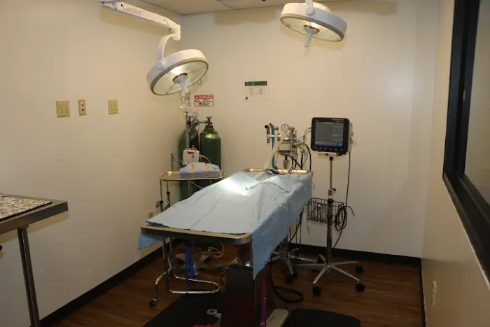 VCA North Atlanta Animal Hospital Picture 2