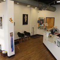 VCA North Atlanta Animal Hospital ico