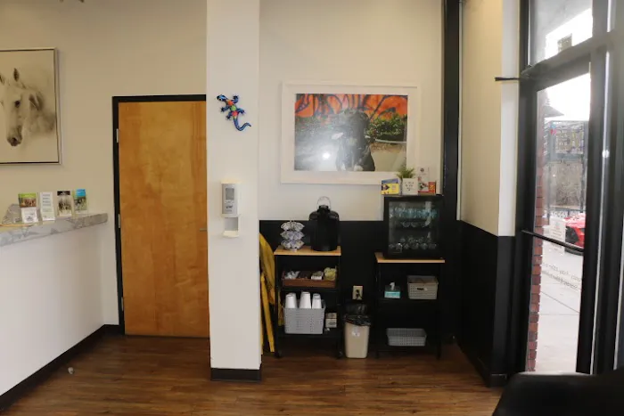 VCA North Atlanta Animal Hospital Picture 6