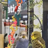 Vetco Total Care Animal Hospital ico
