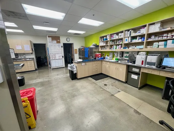 Vetco Total Care Animal Hospital Picture 3