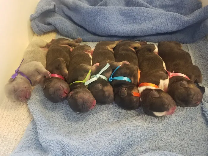Cliftwood Animal Hospital Picture 6