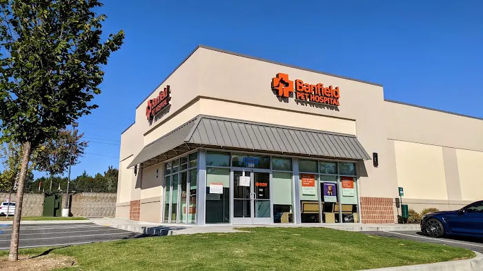 Banfield Pet Hospital Picture 2