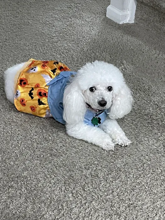 Banfield Pet Hospital Picture 8