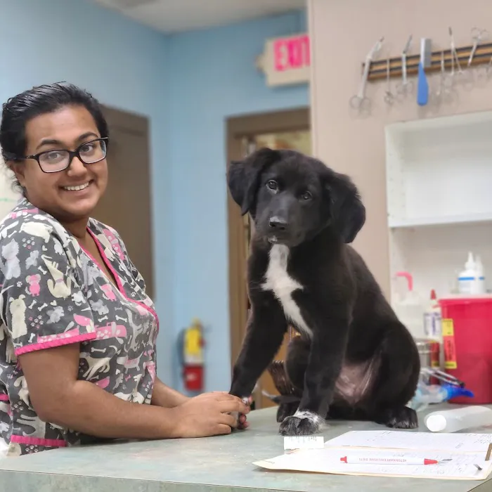 Morningside Animal Care Center Picture 6