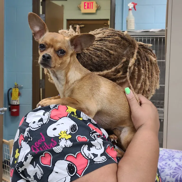Morningside Animal Care Center Picture 8