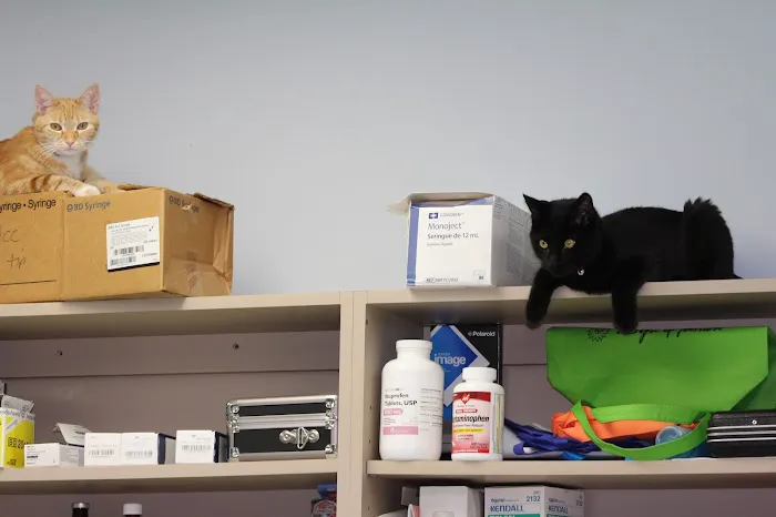 Morningside Animal Care Center Picture 7