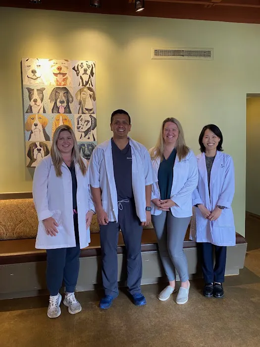 Animal Medical Center of Lawrenceville, A Thrive Pet Healthcare Partner Picture 10
