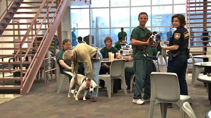 Society of Humane Friends Spay/Neuter Clinic Picture 5