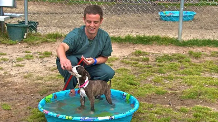 Society of Humane Friends Spay/Neuter Clinic Picture 7