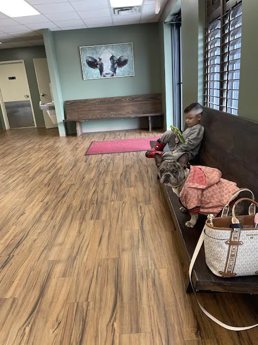 Gwinnett Animal Clinic Picture 7