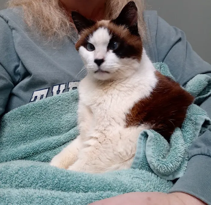 Gwinnett Animal Clinic Picture 9