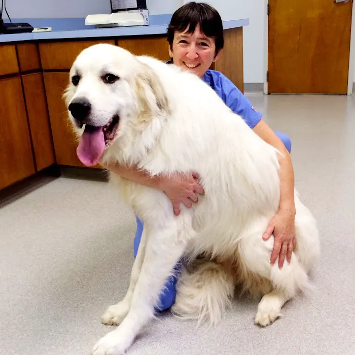 Indian Trail Animal Hospital Picture 6