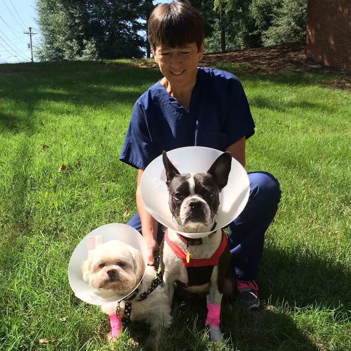 Indian Trail Animal Hospital Picture 8