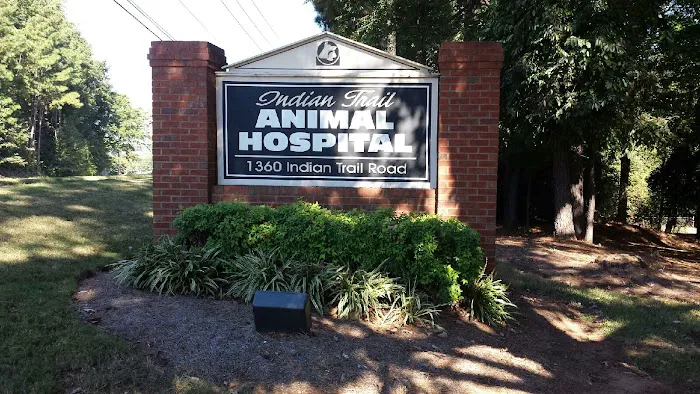 Indian Trail Animal Hospital Picture 10