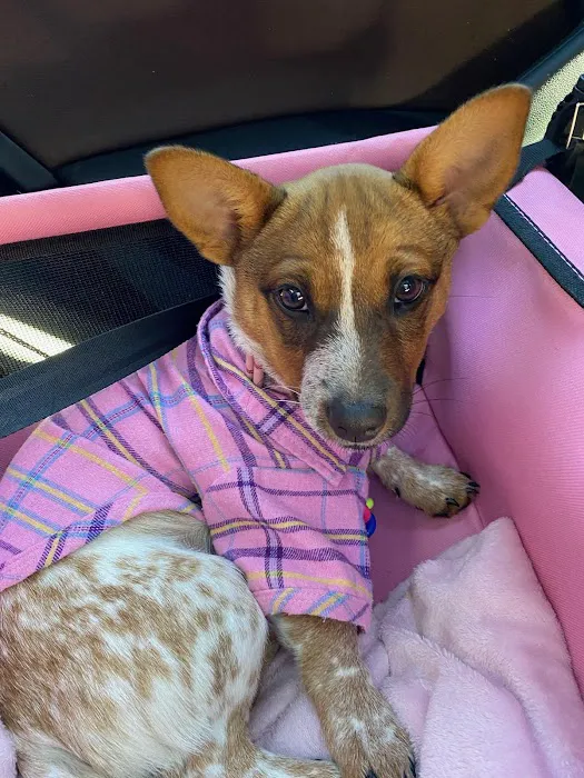 Animal Care Hospital Picture 1