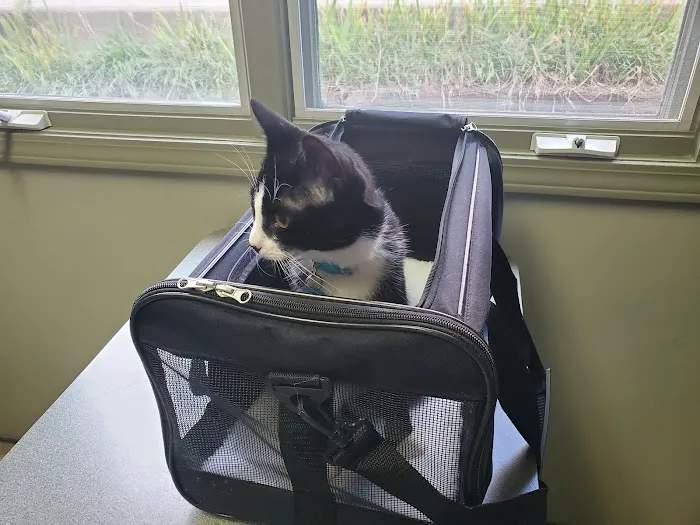 Animal Care Hospital Picture 6