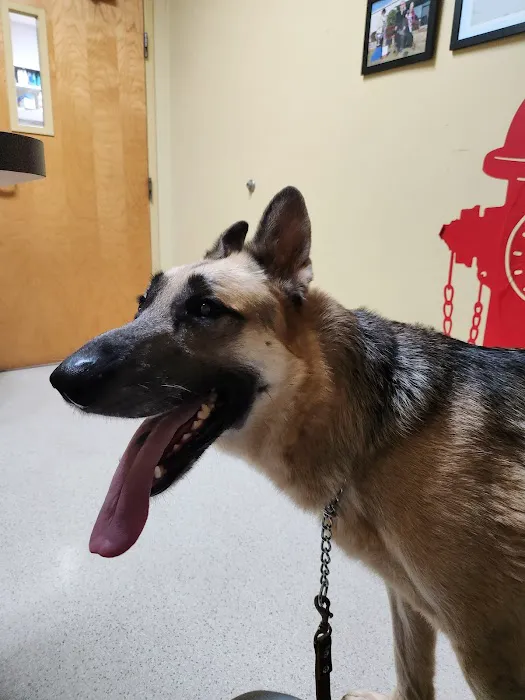 Animal Care Hospital Picture 9