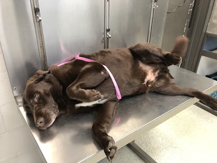 Beaver Crossing Animal Hospital Picture 9