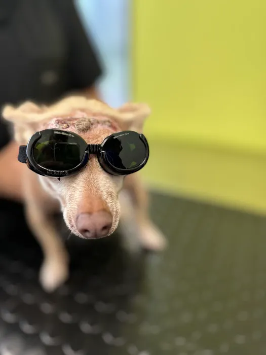 River Oaks Animal Hospital Picture 7